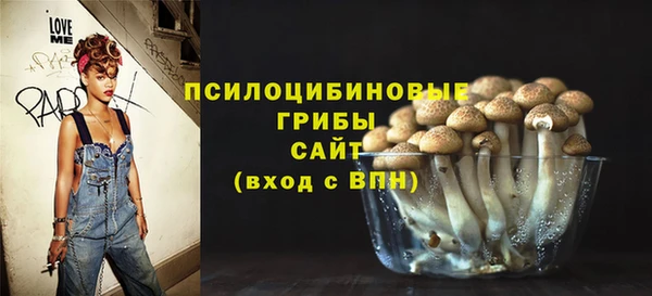 бошки Алзамай