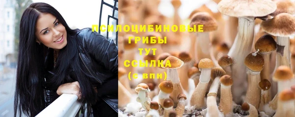 бошки Алзамай