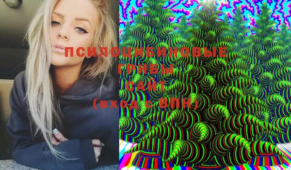 бошки Алзамай