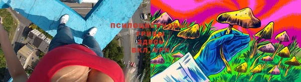 бошки Алзамай