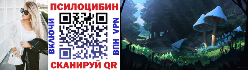Псилоцибиновые грибы Magic Shrooms  Дегтярск 